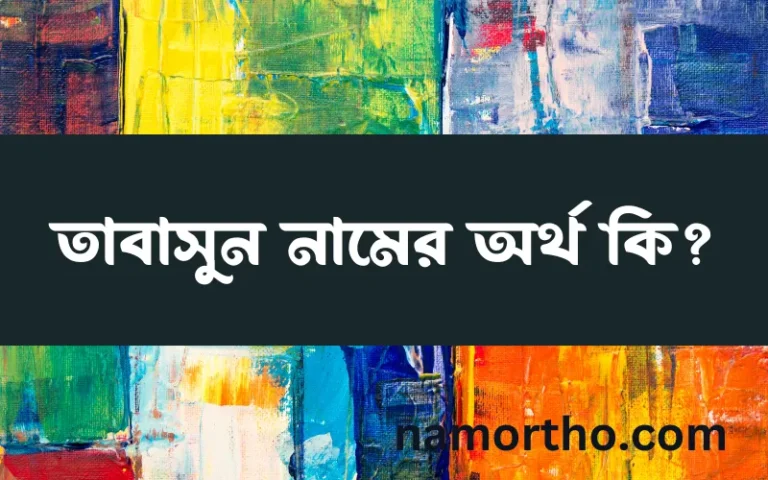 তাবাসুন নামের অর্থ কি? ইসলামিক আরবি বাংলা অর্থ এবং নামের তাৎপর্য