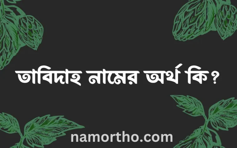 তাবিদাহ নামের অর্থ কি? তাবিদাহ নামের ইসলামিক অর্থ এবং বিস্তারিত তথ্য সমূহ