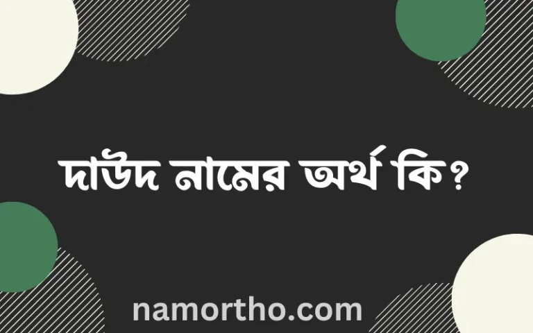 দাউদ নামের বাংলা আরবি ইসলামিক অর্থ কি?