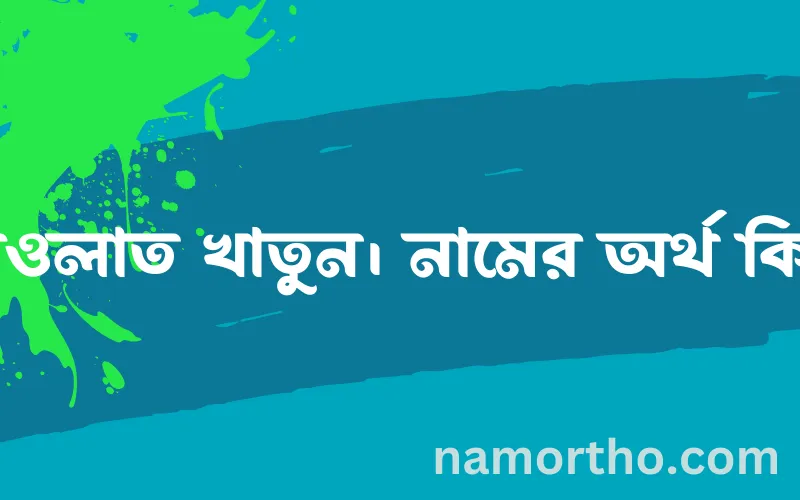 দাওলাত খাতুন। নামের আর্থ কি?