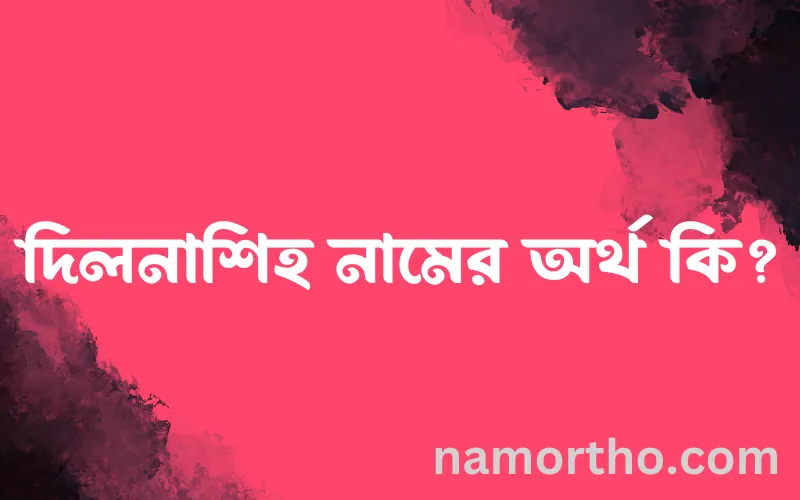 দিলনাশিহ নামের আর্থ কি?