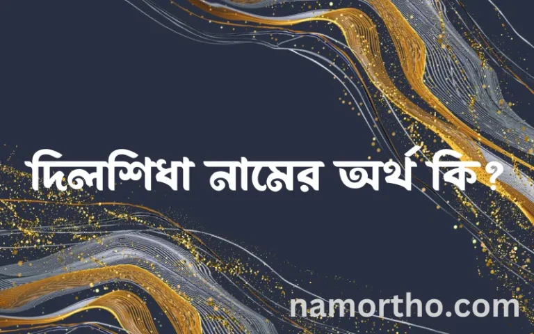 দিলশিধা নামের অর্থ কি, বাংলা ইসলামিক এবং আরবি অর্থ?
