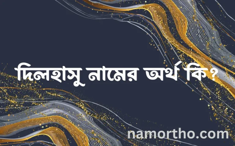 দিলহাসু নামের অর্থ কি এবং ইসলাম কি বলে? (বিস্তারিত)
