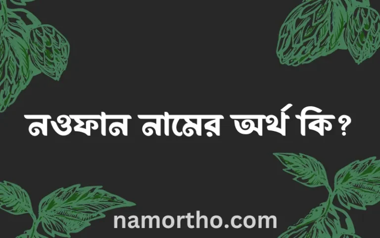 নওফান নামের অর্থ কি? নওফান নামের বাংলা, আরবি/ইসলামিক অর্থসমূহ