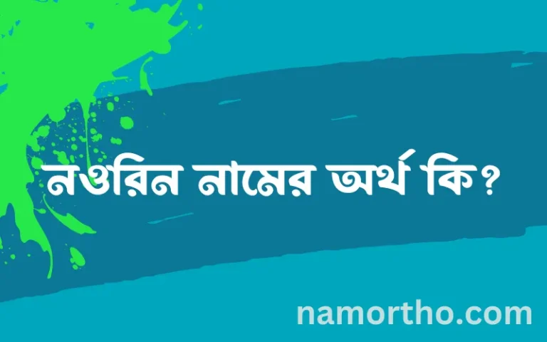 নওরিন নামের অর্থ কি, বাংলা ইসলামিক এবং আরবি অর্থ?
