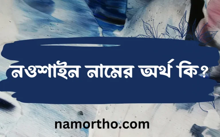 নওশাইন নামের অর্থ কি, ইসলামিক আরবি এবং বাংলা অর্থ জানুন