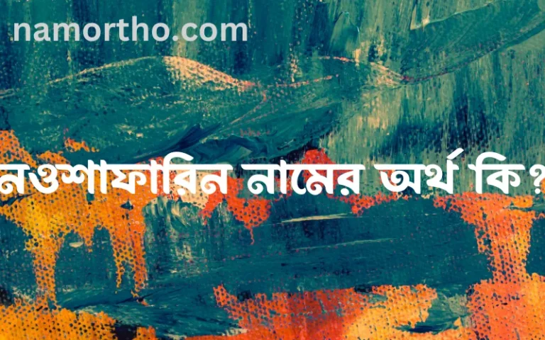 নওশাফারিন নামের অর্থ কি এবং ইসলাম কি বলে? (বিস্তারিত)