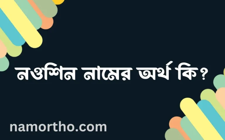 নওশিন নামের অর্থ কি? নওশিন নামের ইসলামিক অর্থ এবং বিস্তারিত তথ্য সমূহ
