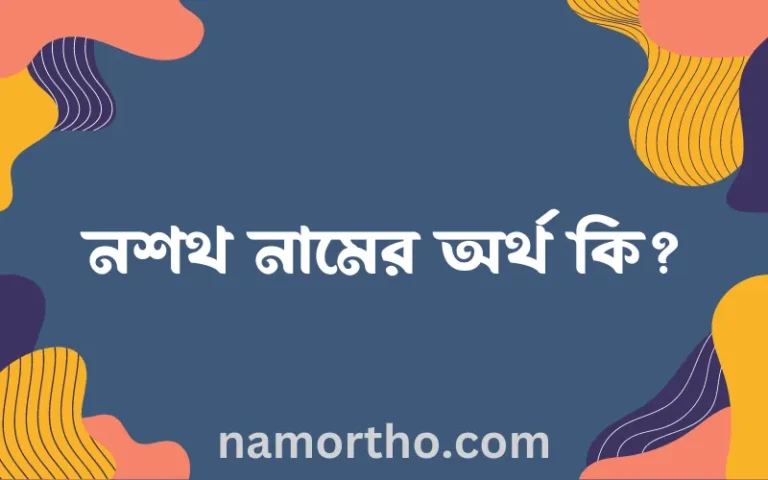 নশথ নামের অর্থ কি এবং ইসলাম কি বলে? (বিস্তারিত)