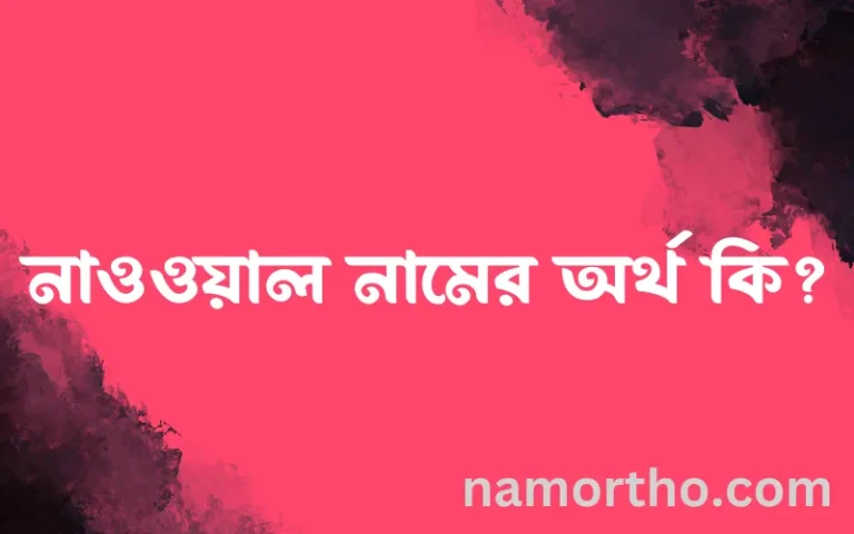 নাওওয়াল নামের অর্থ কি? নাওওয়াল নামের ইসলামিক অর্থ এবং বিস্তারিত তথ্য সমূহ