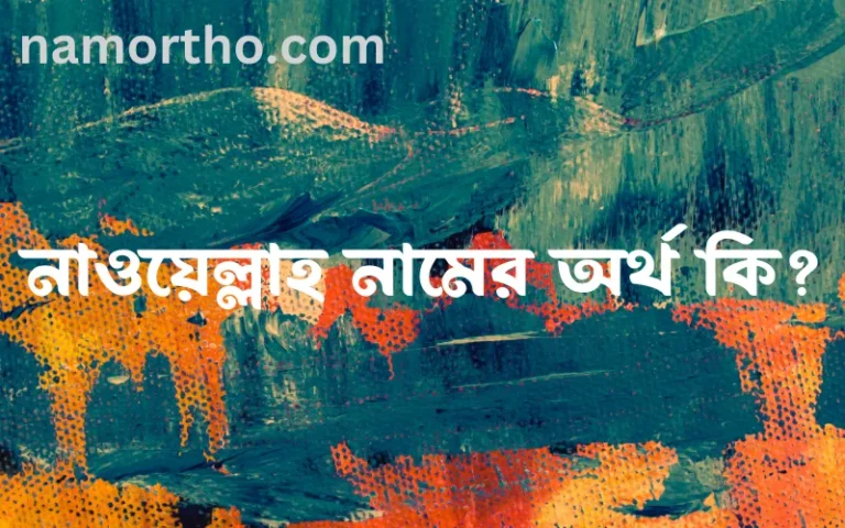 নাওয়েল্লাহ নামের অর্থ কি? ইসলামিক আরবি বাংলা অর্থ এবং নামের তাৎপর্য