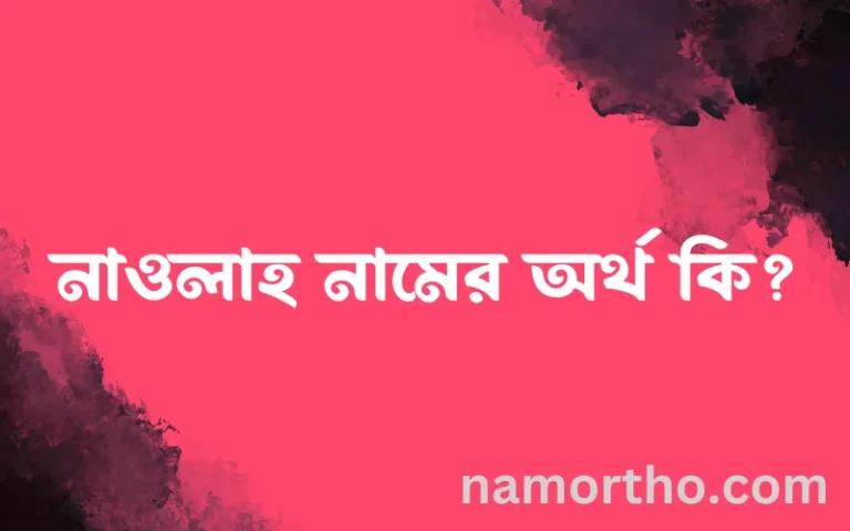 নাওলাহ নামের অর্থ কি, ইসলামিক আরবি এবং বাংলা অর্থ জানুন