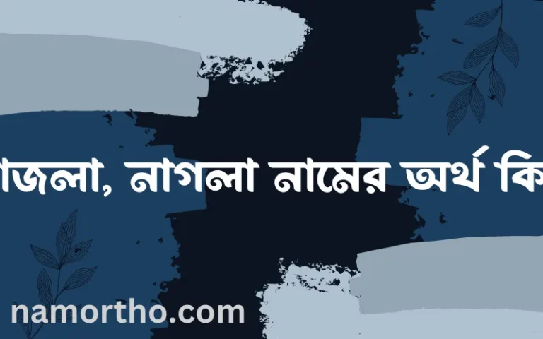 নাজলা, নাগলা নামের অর্থ কি? নাজলা, নাগলা নামের বাংলা, আরবি/ইসলামিক অর্থসমূহ