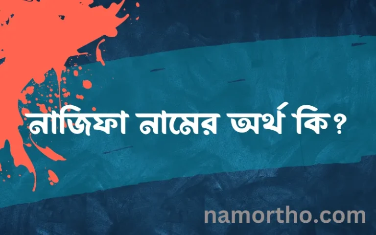 নাজিফা নামের অর্থ কি এবং ইসলাম কি বলে? (বিস্তারিত)