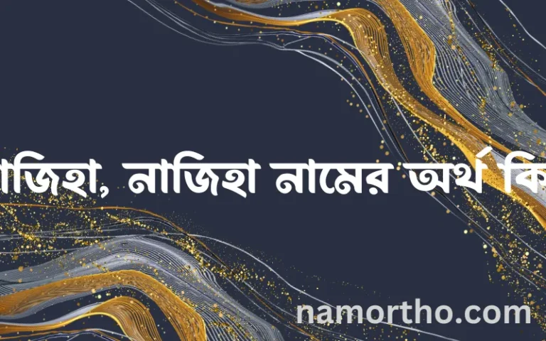 নাজিহা, নাজিহা নামের অর্থ কি? ইসলামিক আরবি বাংলা অর্থ