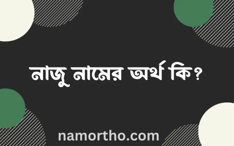 নাজু নামের অর্থ কি? নাজু নামের বাংলা, আরবি/ইসলামিক অর্থসমূহ