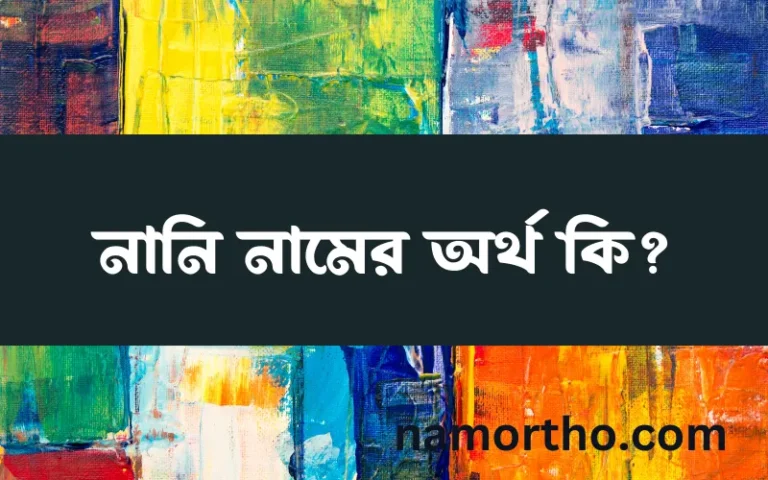 নানি নামের অর্থ কি? নানি নামের বাংলা, আরবি/ইসলামিক অর্থসমূহ
