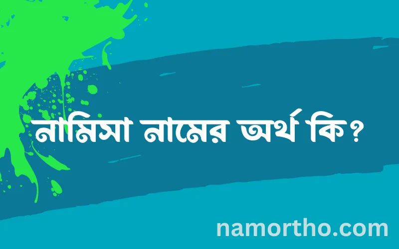 নামিসা নামের আর্থ কি?