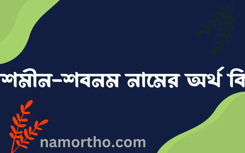 নাশমীন-শবনম নামের আর্থ কি?