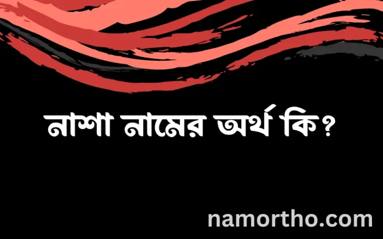 নাশা নামের বাংলা আরবি ইসলামিক অর্থ কি?