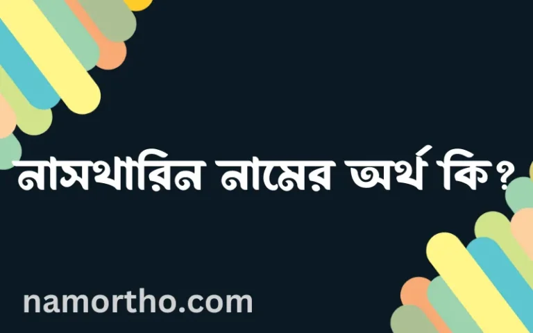নাসথারিন নামের অর্থ কি, ইসলামিক আরবি এবং বাংলা অর্থ জানুন