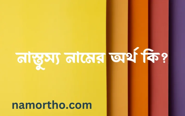 নাস্তুস্য নামের অর্থ কি? ইসলামিক আরবি বাংলা অর্থ