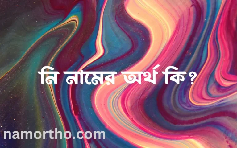 নি নামের অর্থ কি এবং ইসলাম কি বলে? (বিস্তারিত)