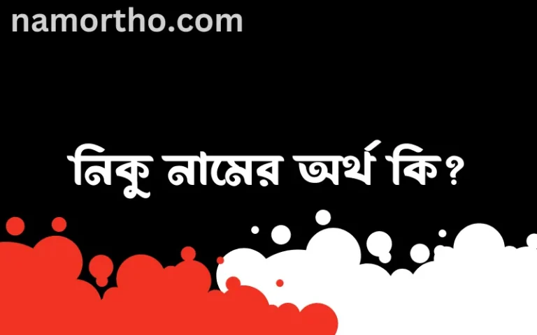 নিকু নামের অর্থ কি এবং ইসলাম কি বলে? (বিস্তারিত)