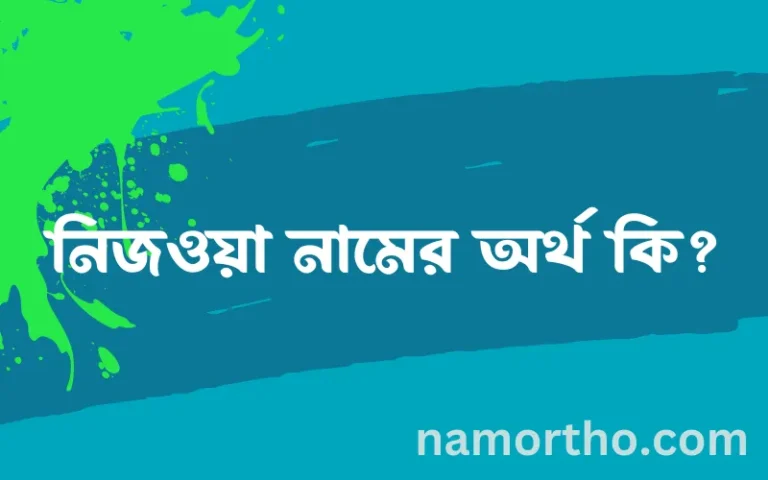 নিজওয়া নামের অর্থ কি? নিজওয়া নামের ইসলামিক অর্থ এবং বিস্তারিত তথ্য সমূহ