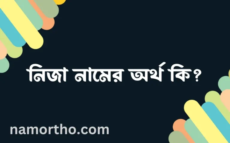 নিজা নামের অর্থ কি? নিজা নামের বাংলা, আরবি/ইসলামিক অর্থসমূহ