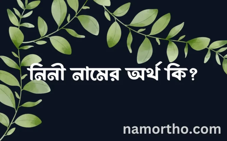 নিনী নামের অর্থ কি? (ব্যাখ্যা ও বিশ্লেষণ) জানুন