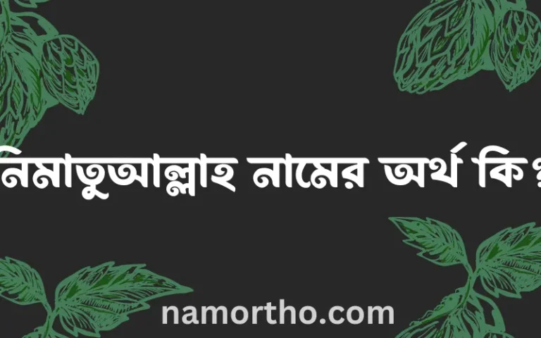 নিমাতুআল্লাহ নামের অর্থ কি? নিমাতুআল্লাহ নামের বাংলা, আরবি/ইসলামিক অর্থসমূহ