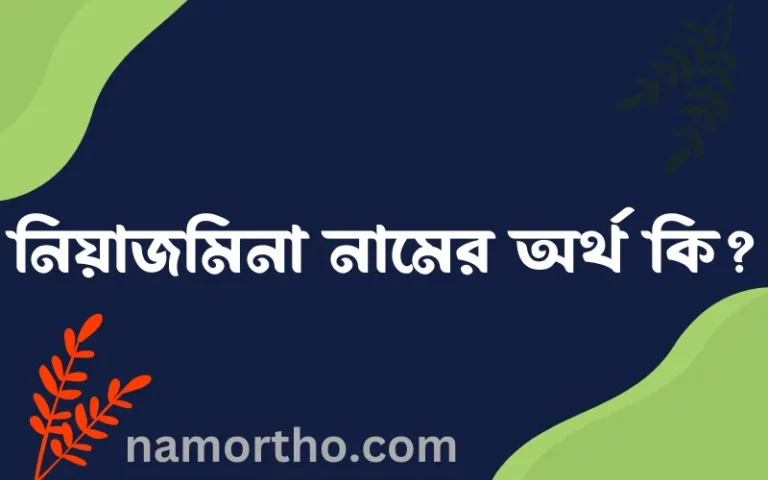 নিয়াজমিনা নামের অর্থ কি, ইসলামিক আরবি এবং বাংলা অর্থ জানুন