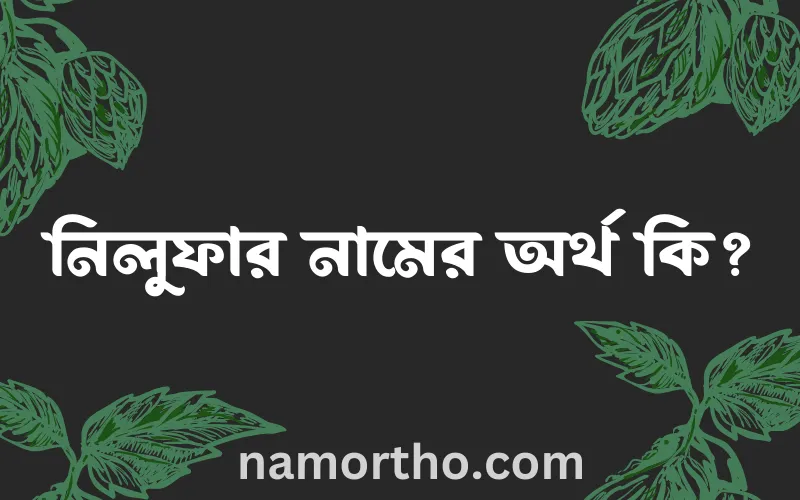 নিলুফার নামের আর্থ কি?
