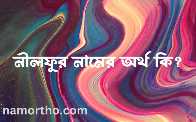 নীলফুর নামের অর্থ কি? নীলফুর নামের ইসলামিক অর্থ এবং বিস্তারিত তথ্য সমূহ