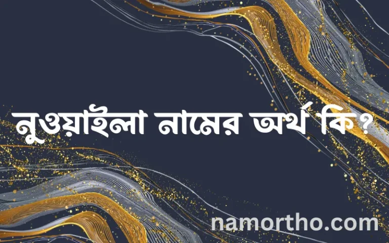 নুওয়াইলা নামের অর্থ কি? ইসলামিক আরবি বাংলা অর্থ এবং নামের তাৎপর্য
