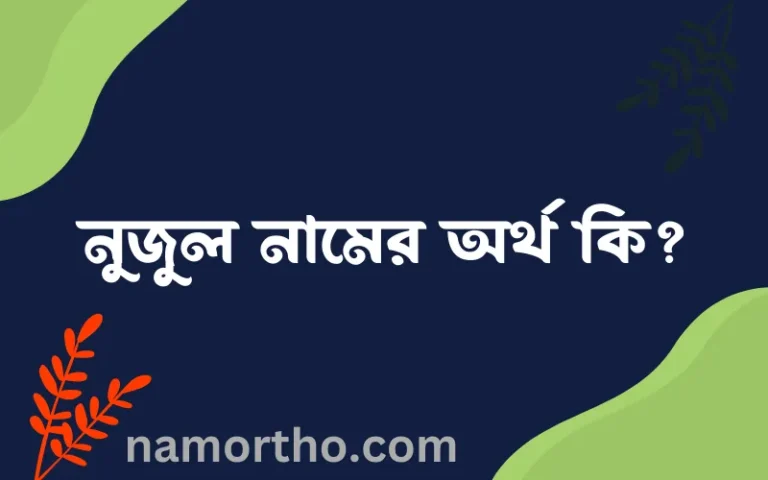 নুজুল নামের বাংলা আরবি ইসলামিক অর্থ কি?