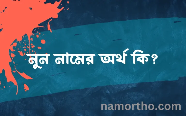 নুন নামের অর্থ কি? নুন নামের ইসলামিক অর্থ এবং বিস্তারিত তথ্য সমূহ