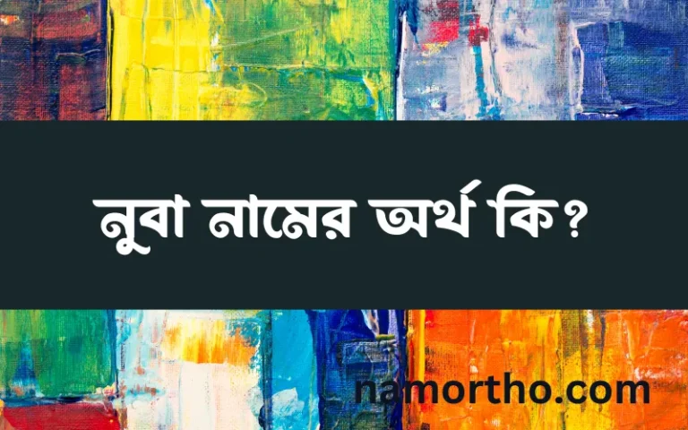 নুবা নামের অর্থ কি? নুবা নামের বাংলা, আরবি/ইসলামিক অর্থসমূহ