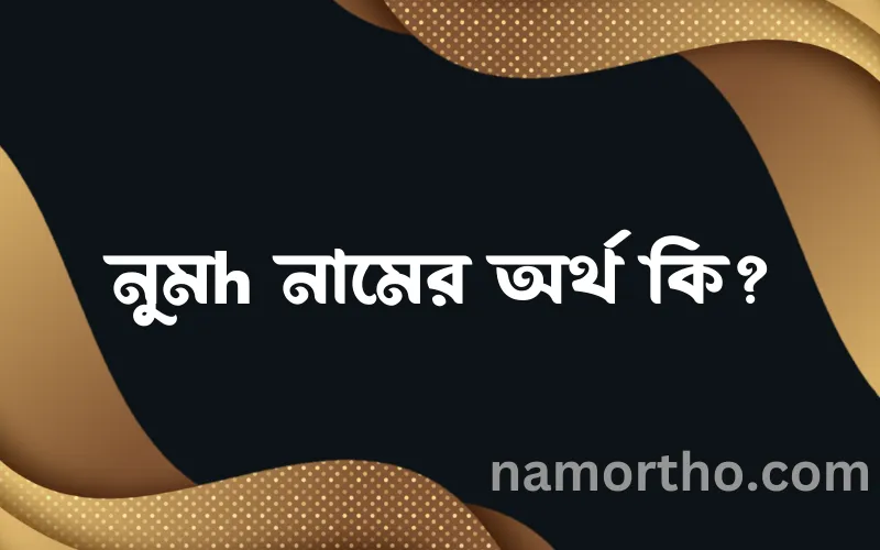 নুমh নামের আর্থ কি?