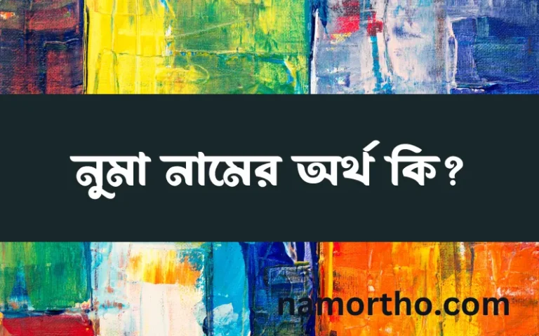 নুমা নামের অর্থ কি? (ব্যাখ্যা ও বিশ্লেষণ) জানুন
