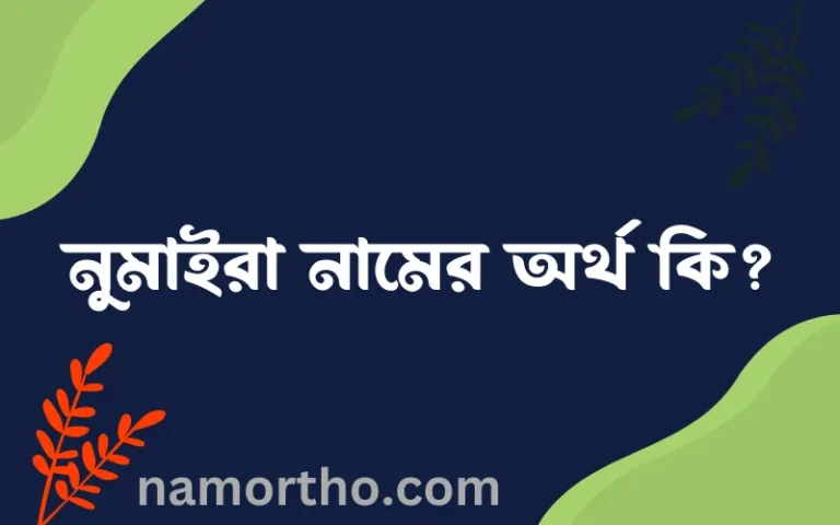 নুমাইরা নামের অর্থ কি এবং ইসলাম কি বলে? (বিস্তারিত)