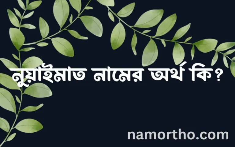 নুয়াইমাত নামের অর্থ কি? (ব্যাখ্যা ও বিশ্লেষণ) জানুন