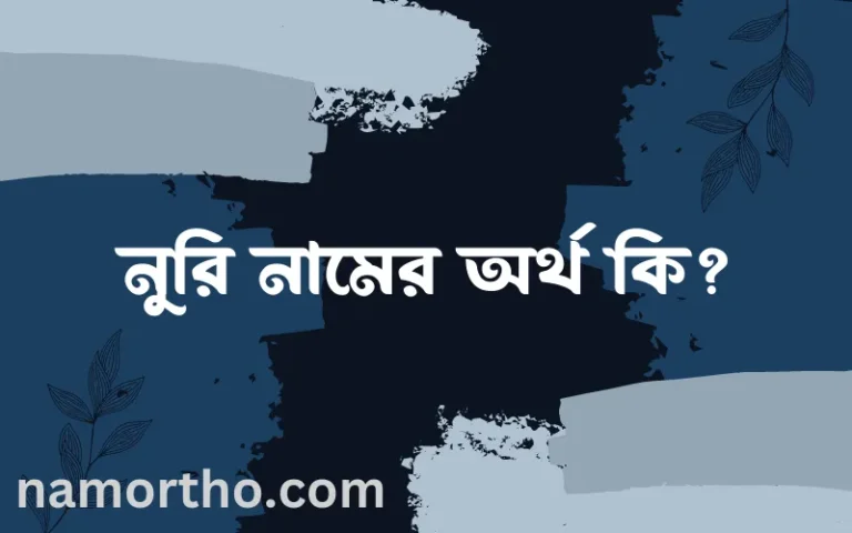 নুরি নামের অর্থ কি? নুরি নামের বাংলা, আরবি/ইসলামিক অর্থসমূহ