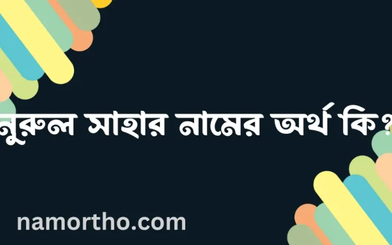 নুরুল সাহার নামের অর্থ কি? নুরুল সাহার নামের ইসলামিক অর্থ এবং বিস্তারিত তথ্য সমূহ