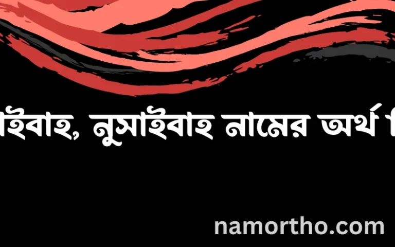 নুসাইবাহ, নুসাইবাহ নামের অর্থ কি, বাংলা ইসলামিক এবং আরবি অর্থ?