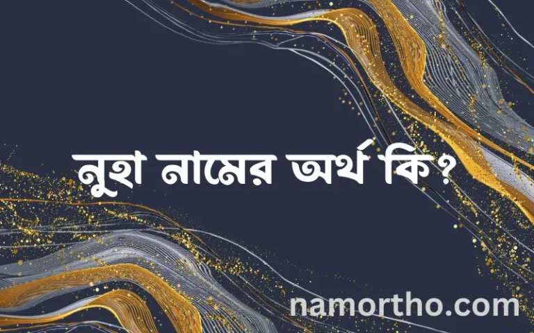 নুহা নামের অর্থ কি, ইসলামিক আরবি এবং বাংলা অর্থ জানুন