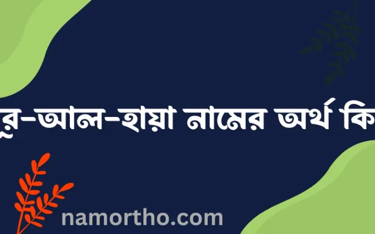 নূর-আল-হায়া নামের অর্থ কি, বাংলা ইসলামিক এবং আরবি অর্থ?