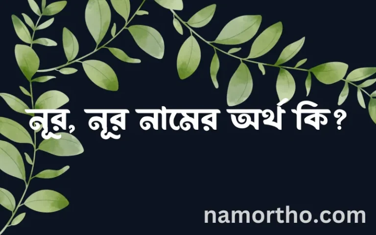 নূর, নূর নামের অর্থ কি? নূর, নূর নামের বাংলা, আরবি/ইসলামিক অর্থসমূহ