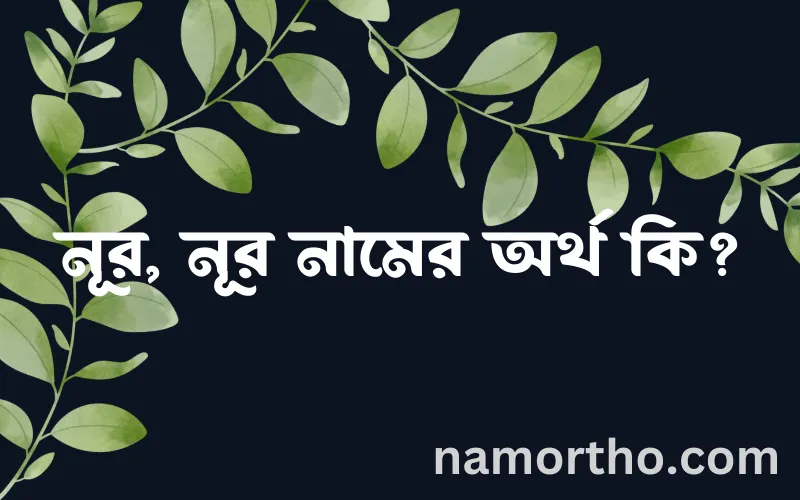 নূর, নূর নামের আর্থ কি?